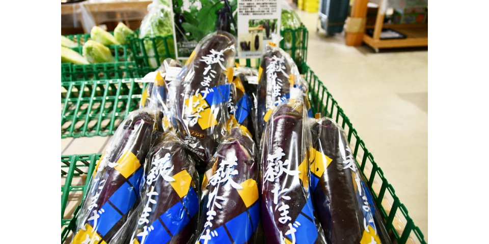 萩たまげなす